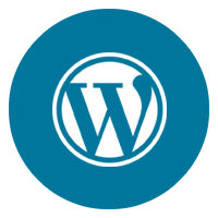 Wordpress multinationalseo