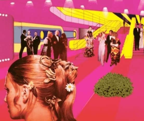 Cambell multinationalseo