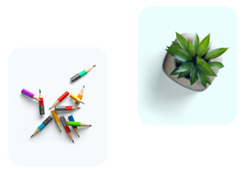 flower multinationalseo